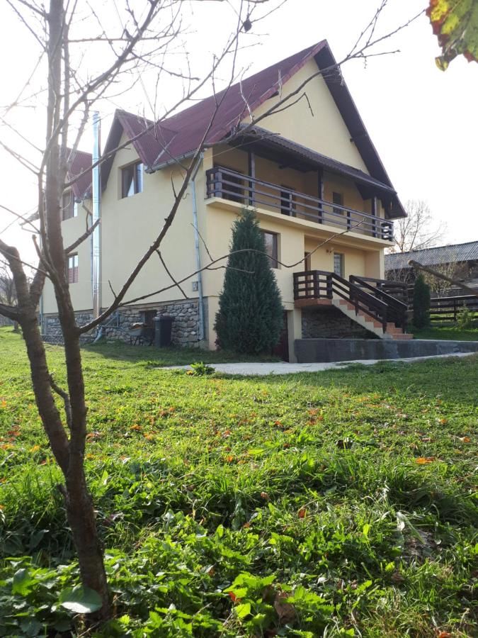 Гостевой дом Popasul Găleșean Galeşu-29