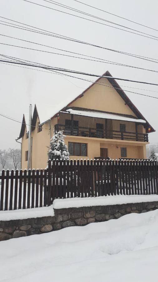 Гостевой дом Popasul Găleșean Galeşu-33