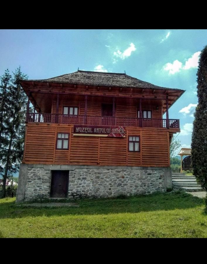 Гостевой дом Popasul Găleșean Galeşu-37