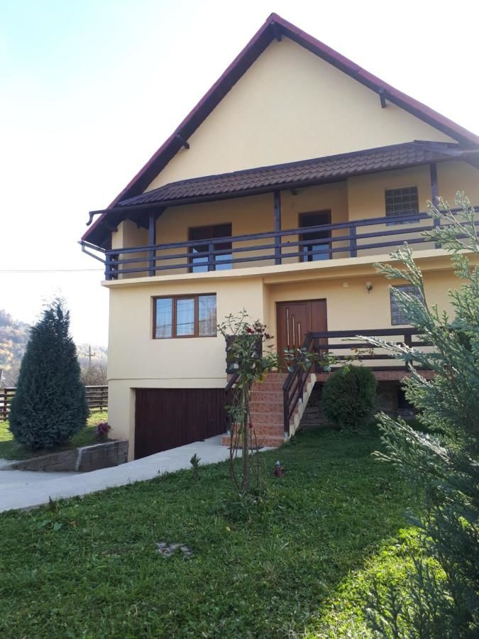 Гостевой дом Popasul Găleșean Galeşu-10