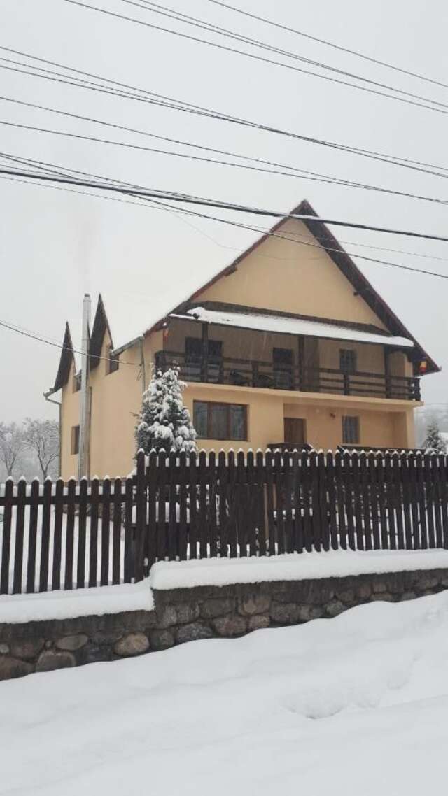 Гостевой дом Popasul Găleșean Galeşu-32